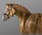 Horse ad