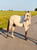 Annuncio cavallo