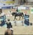 Annuncio cavallo