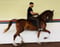 Annuncio cavallo