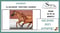 Horse ad
