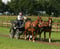 Horse ad