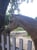 Horse ad