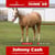 Annuncio cavallo