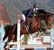 Horse ad