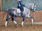 Horse ad