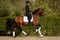Annonce cheval