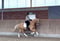 Horse ad