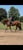 Horse ad