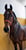 Horse ad