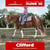 Annuncio cavallo