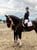 Annuncio cavallo