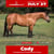 Horse ad