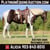 Horse ad