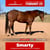 Horse ad