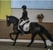 Horse ad