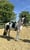 Horse ad