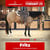 Horse ad