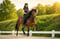 Annuncio cavallo