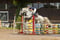 Annuncio cavallo