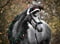 Horse ad