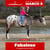 Horse ad
