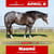 Anuncio de caballos