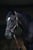 Horse ad