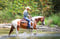 Horse ad