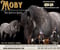 Horse ad