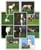 Annonce cheval