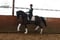 Annuncio cavallo
