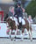 Paardadvertentie