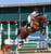 Horse ad