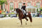 Annonce cheval