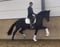 Horse ad