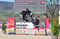 Annuncio cavallo