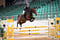 Horse ad