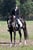 Annonce cheval