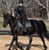 Annuncio cavallo