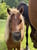 Horse ad