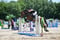 Horse ad