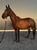 Horse ad