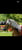 Horse ad