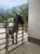 Horse ad