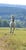 Annonce cheval