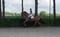 Annuncio cavallo