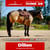 Horse ad
