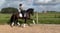 Horse ad