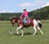Horse ad